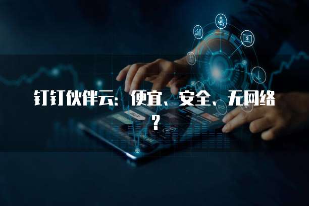 钉钉伙伴云:便宜、安全、无网络?