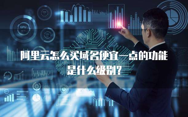 阿里云怎么买域名便宜一点的功能是什么级别?
