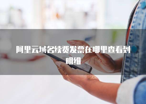 阿里云域名续费发票在哪里查看到明细