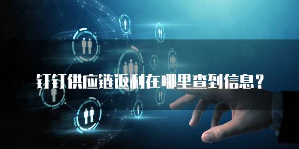 钉钉供应链返利在哪里查到信息?