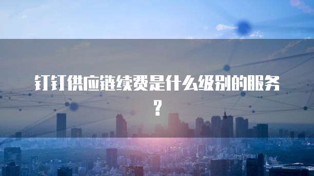 钉钉供应链续费是什么级别的服务?