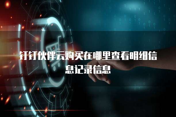 钉钉伙伴云购买在哪里查看明细信息记录信息