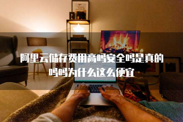 阿里云储存费用高吗安全吗是真的吗吗为什么这么便宜