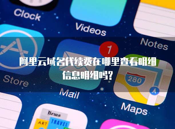 阿里云域名代续费在哪里查看明细信息明细吗?
