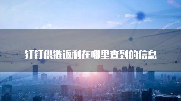 钉钉供链返利在哪里查到的信息