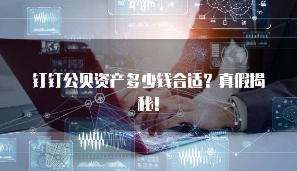 钉钉公贝资产多少钱合适?真假揭秘!