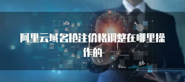 阿里云域名抢注价格调整在哪里操作的