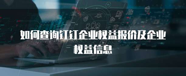 如何查询钉钉企业权益报价及企业权益信息