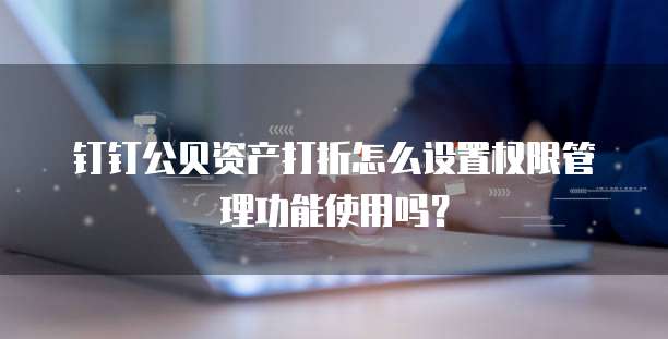 钉钉公贝资产打折怎么设置权限管理功能使用吗?