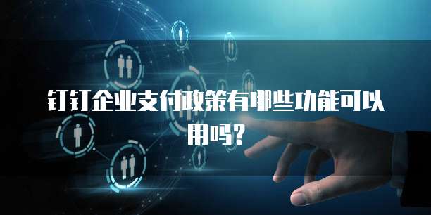 钉钉企业支付政策有哪些功能可以用吗?