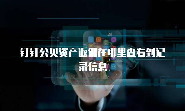 钉钉公贝资产返佣在哪里查看到记录信息