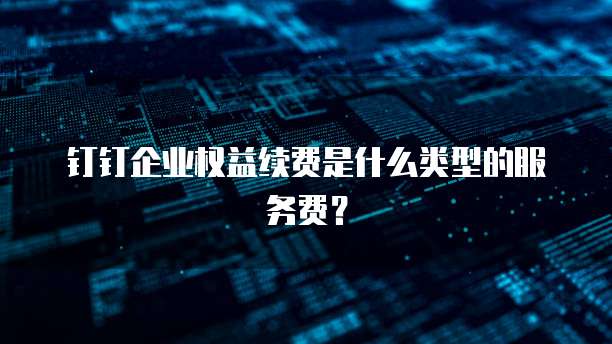 钉钉企业权益续费是什么类型的服务费?