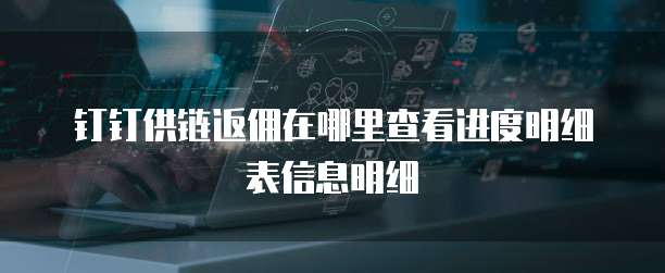 钉钉供链返佣在哪里查看进度明细表信息明细
