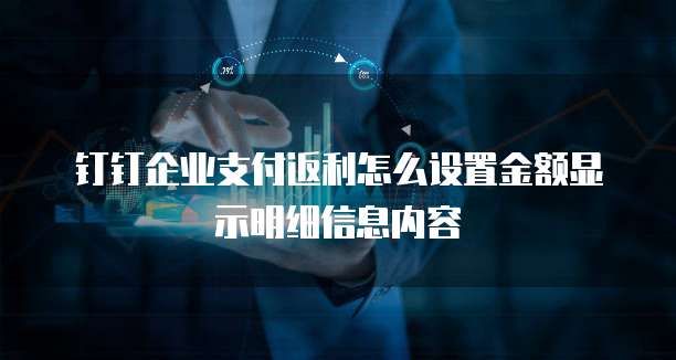 钉钉企业支付返利怎么设置金额显示明细信息内容