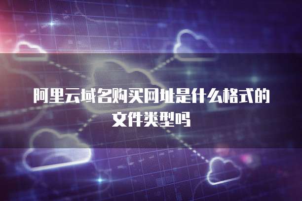 阿里云域名购买网址是什么格式的文件类型吗