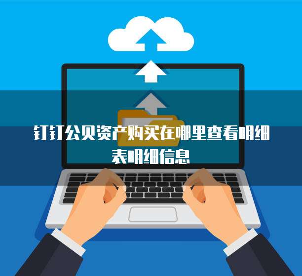 钉钉公贝资产购买在哪里查看明细表明细信息