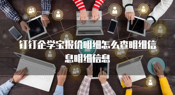 钉钉企学宝报价明细怎么查明细信息明细信息