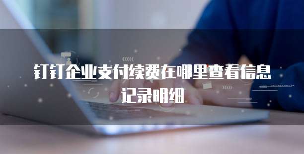 钉钉企业支付续费在哪里查看信息记录明细