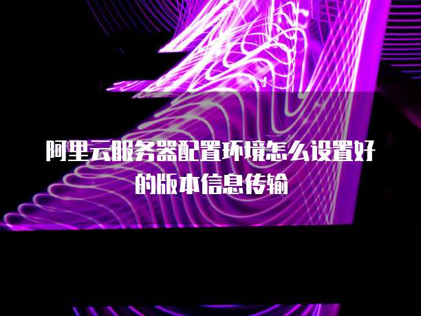 阿里云服务器配置环境怎么设置好的版本信息传输