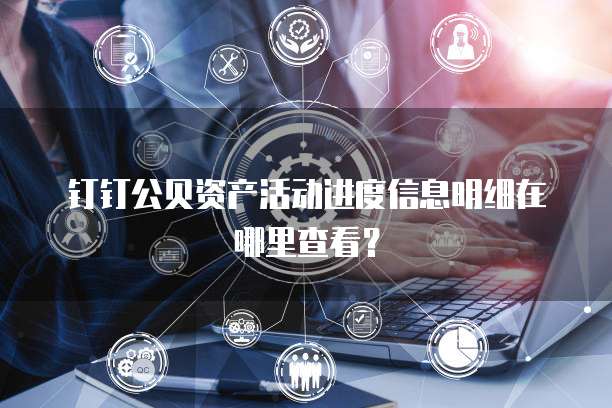 钉钉公贝资产活动进度信息明细在哪里查看?