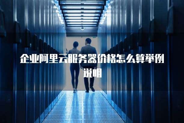 企业阿里云服务器价格怎么算举例说明