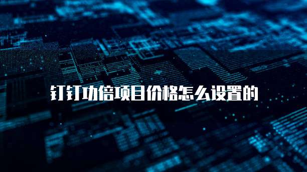 钉钉功倍项目价格怎么设置的
