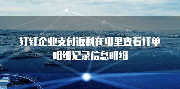 钉钉企业支付返利在哪里查看订单明细记录信息明细