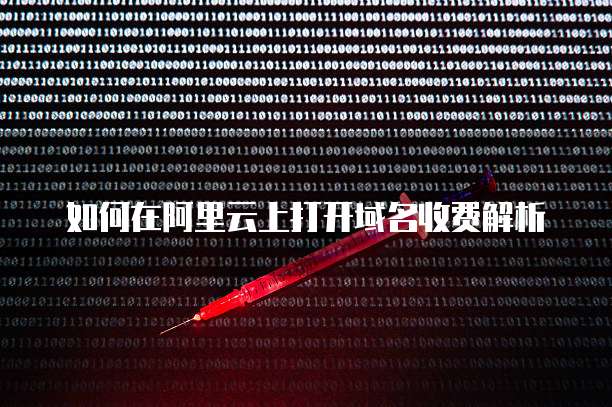 如何在阿里云上打开域名收费解析
