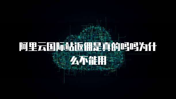 阿里云国际站返佣是真的吗吗为什么不能用