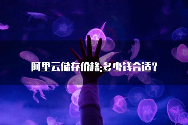 阿里云储存价格:多少钱合适？