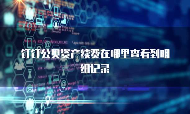 钉钉公贝资产续费在哪里查看到明细记录