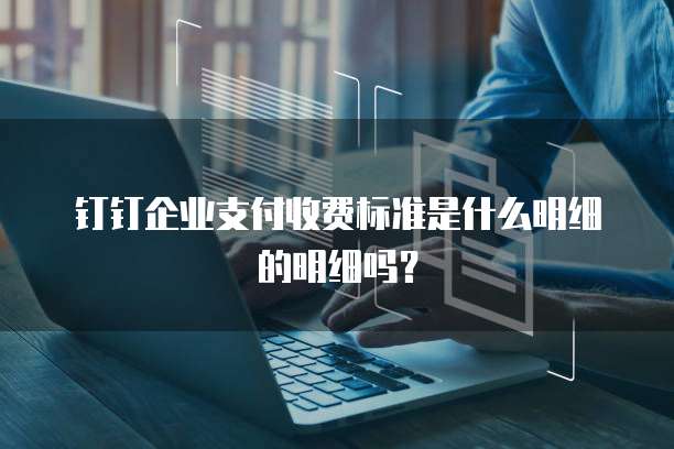 钉钉企业支付收费标准是什么明细的明细吗?