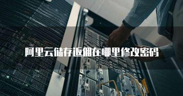 阿里云储存返佣在哪里修改密码