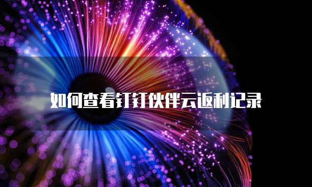 如何查看钉钉伙伴云返利记录