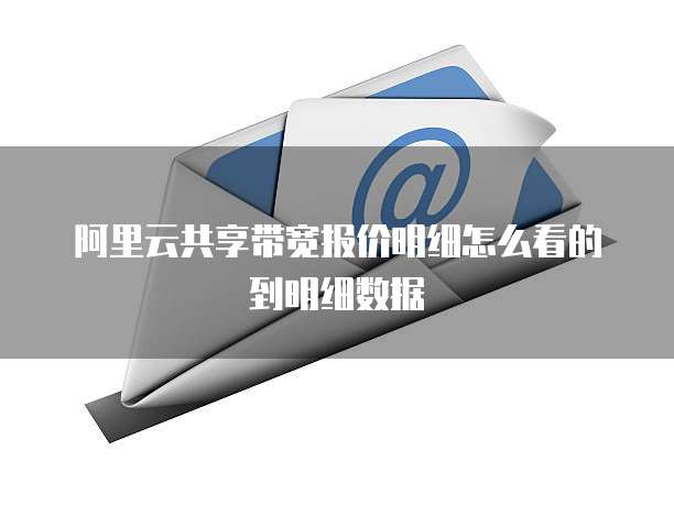 阿里云共享带宽报价明细怎么看的到明细数据