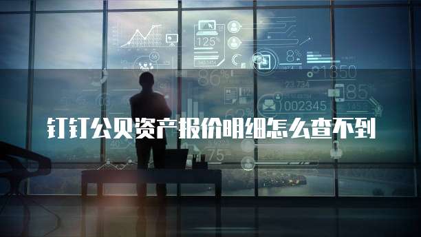钉钉公贝资产报价明细怎么查不到