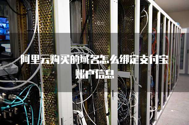 阿里云购买的域名怎么绑定支付宝账户信息