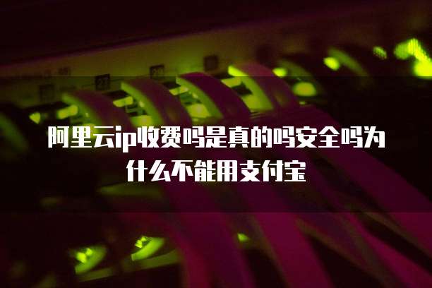阿里云ip收费吗是真的吗安全吗为什么不能用支付宝