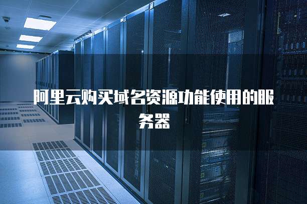 阿里云购买域名资源功能使用的服务器