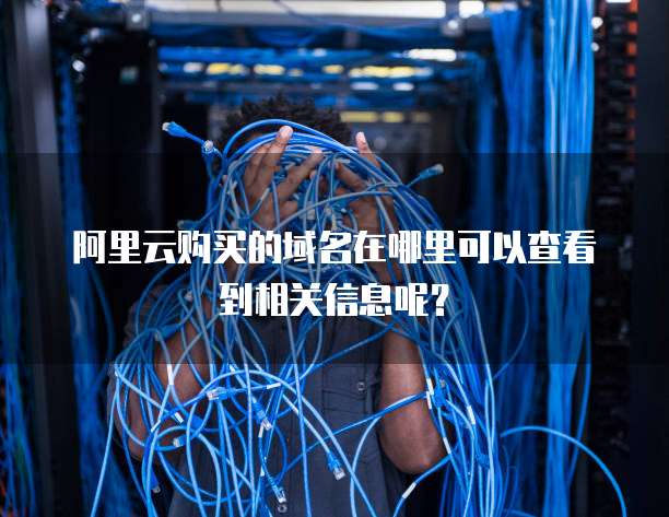 阿里云购买的域名在哪里可以查看到相关信息呢?