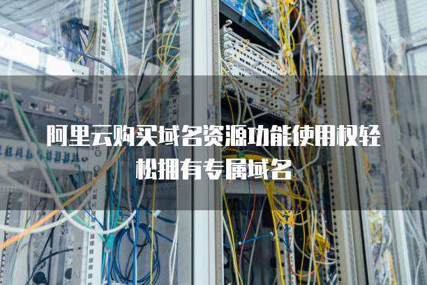 阿里云购买域名资源功能使用权轻松拥有专属域名