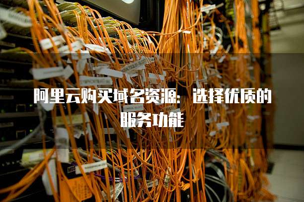 阿里云购买域名资源：选择优质的服务功能