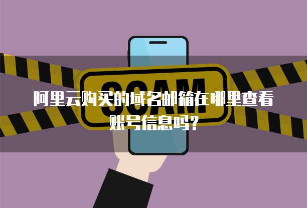 阿里云购买的域名邮箱在哪里查看账号信息吗?
