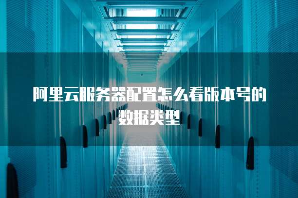 阿里云服务器配置怎么看版本号的数据类型