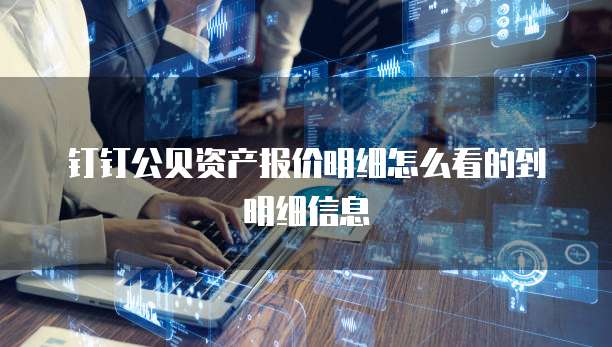 钉钉公贝资产报价明细怎么看的到明细信息