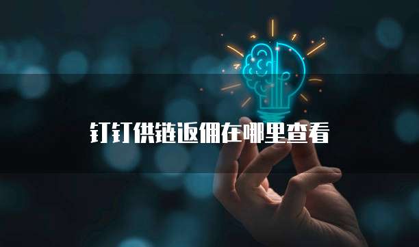 钉钉供链返佣在哪里查看