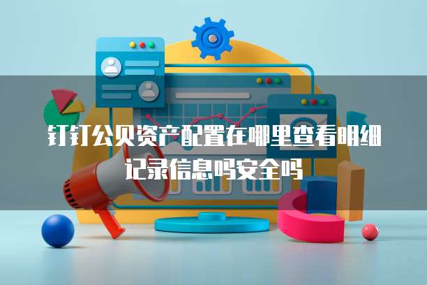 钉钉公贝资产配置在哪里查看明细记录信息吗安全吗