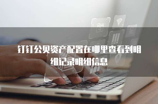 钉钉公贝资产配置在哪里查看到明细记录明细信息