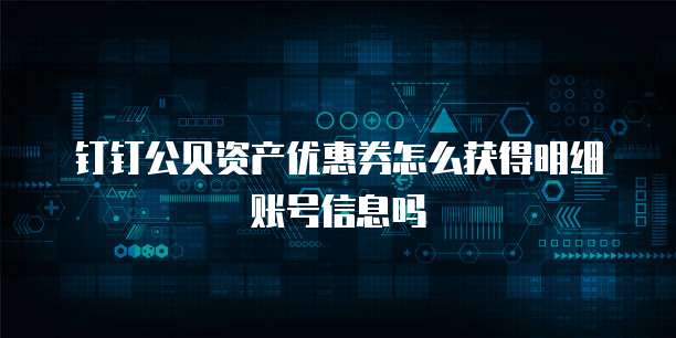 钉钉公贝资产优惠券怎么获得明细账号信息吗