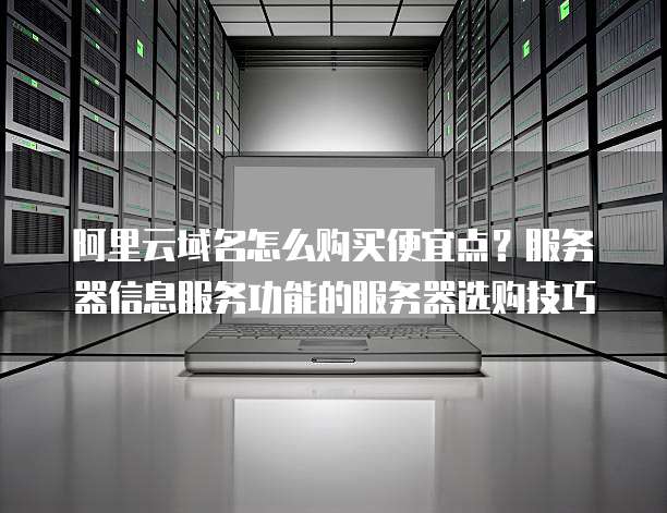 阿里云域名怎么购买便宜点?服务器信息服务功能的服务器选购技巧